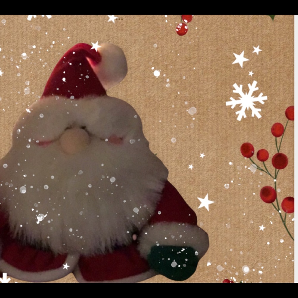 🎅HP🎅
Santa Claus 🎄stuffed toy